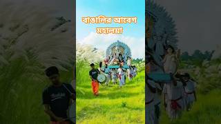 Mahalaya 2025 | Durgapuja | Birendra krishna Bhadra | #shorts #ytshorts #mahalaya #durgapuja