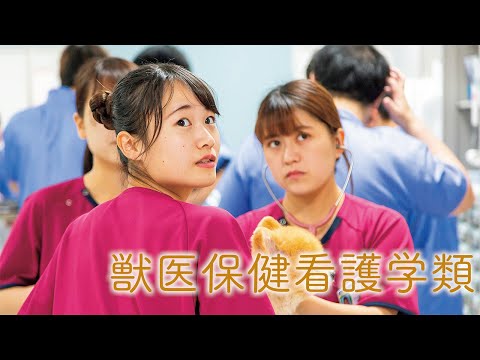 酪農学園大学　獣医保健看護学類　｜　学類紹介