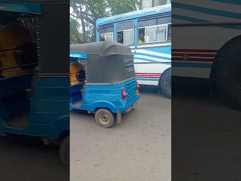bus dj