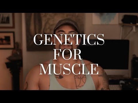 The Truth About Genetics for Building Muscle