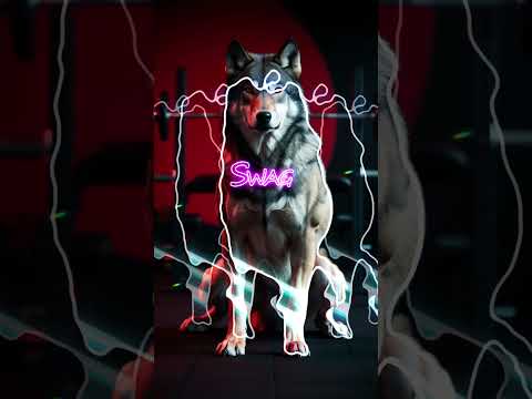 THE BEAT IS COMNG SOON  #edm #edmplaylist #edmworkout #bass #workoutplaylist #rock