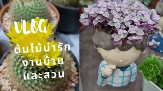 Ep.39|เดินดูต้นไม้สวยๆ งานบ้านและสวน​ มีต้นกล้วยสายพันธุ์แปลกด้วย |Moonmory