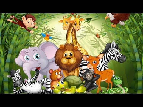 POEM  ANIMAL  |  HINDI RHYME
