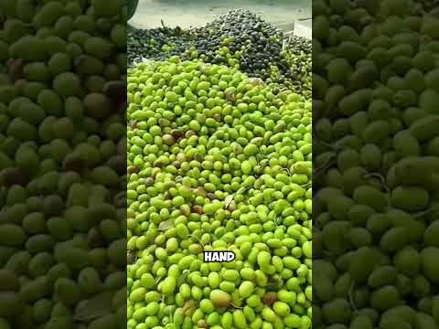 The World’s Oldest Soap Still Made by Hand