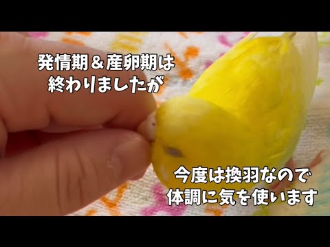 冬の温度管理、気を使いますね