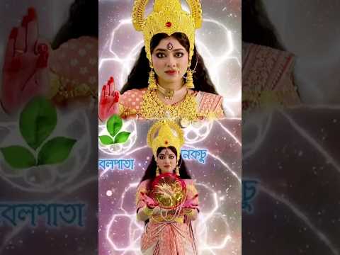 ‼️নবপত্রিকায় দেবীবরণ‼️ZeeBangla Mahalaya #mahalaya2023 #zeebangla #trending #viral