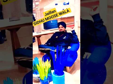 Jaillan Sidhu Moose Wala Watsapp Status #sidhumoosewala #latest