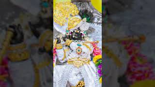 ❤️❤️mero Radha Raman ❤️❤️. #radharamanlal #kartikmass #radharaman