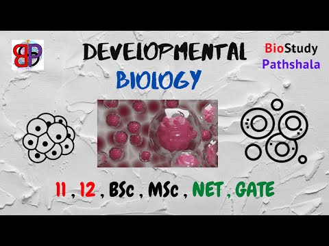 BASIC DEV BIO || Developmental Biology || Life Sciences || Biology