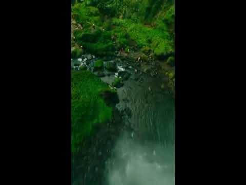 Beautiful Nature Scenery | Relaxing & Peaceful Soothing Music | Bird Sounds, Water Sound