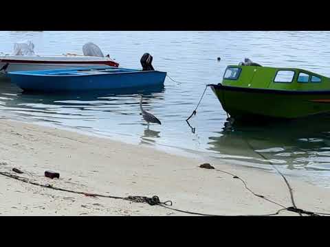 BEACH SIDE RESTAURANTS AT DAY TIME IN MAAFUSHI ISLAND | MALDIVES
