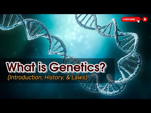 Genetics || Introduction to genetics|| introduction to genetics and heredity|| Biology class 12