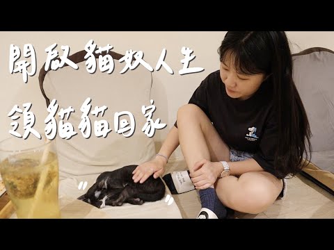 VLOG #75 | 領養一隻貓咪回家-歐摸🐱| 貓貓vlog