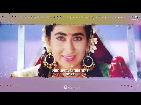 Phoolon Sa Chehra Tera Lofi Mix  Anari  Venkatesh, Karishma Kapoor  Udit Narayan  90s Hindi Song