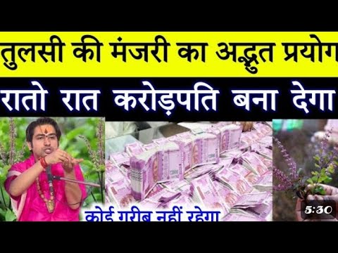 तुलसी की मंजरी का अद्भुत प्रयोग रातों रात करोड़पति बना देगा ।। हर हर महादेव 🙏🏻
