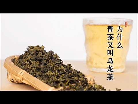 找茶 / 烏龍茶為什麼又叫青茶