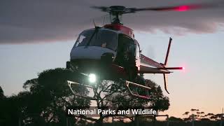Eradicating feral deer from Eyre Peninsula