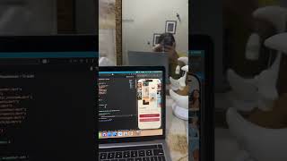 #programminglife #fluttercoding #coding #mobileappdevelopment #programminglanguage