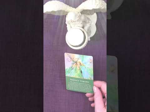 A LITTLE ANGEL MESSAGE 💖 ONE CARD ✨ #shorts   #angelmessages #dailyangelmessage #dailyguidance