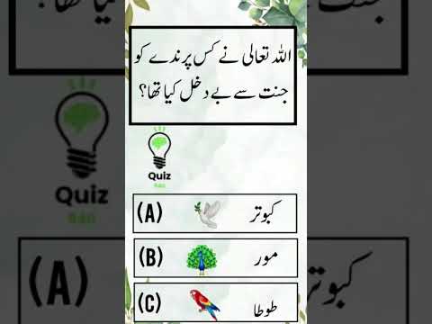 Islamic Short Quiz// Quizzes//#learning #education #love #quiz #school