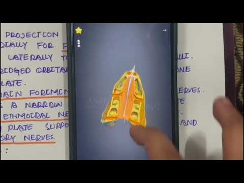 LECTURE #13:PART 02: ANTERIOR CRANIAL FOSSA #3d #medicosphere #skull #anatomy #medicos #viral #video