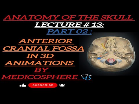 LECTURE #13:PART 02: ANTERIOR CRANIAL FOSSA #3d #medicosphere #skull #anatomy #medicos #viral #video