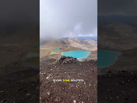 Rough, wet, wild and windy - TA day 33