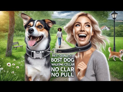 🐶 PET JETT Prong Collar for Dogs | Best Dog Walking Collar No Pull 🐕