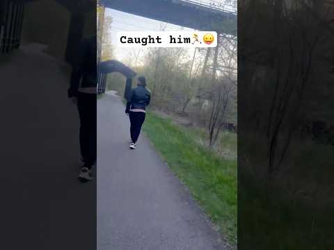 Or he let me catch him🫢😜🙈 #love #harshi #couple #couplegoal #ytshorts #shorts #nature #fun
