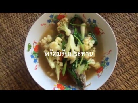 แกงปลาช่อนใส่ดอกกะหล่ำ วิธีทำ กินเองแซ่บๆ  สไตส์เด็กหอ