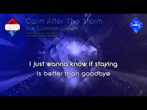 The Common Linnets - "Calm After The Storm" (The Netherlands) - [Instrumental version]