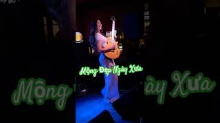 Mộng đẹp ngày xưa #new #tintuc #news #nhackhongloi #music #trending #cover #trend