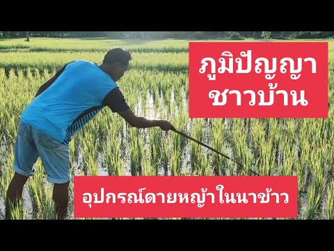 เครื่องทุ่นแรงดายหญ้าในนาข้าว - อาชีพสร้างรายได้Channel