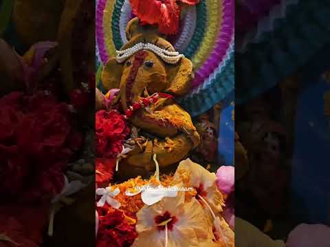 Ganesh Chaturthi #ganesh #ganehsa #ganeshchaturthi #chaturthi #puja #hindu #sanatani #god #ganapati