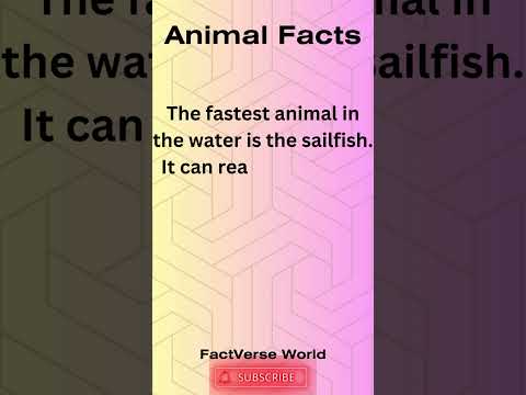 Animal Facts