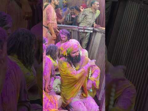 नवल नागरी बाबा #shorts #premanandjimaharaj #vrindavan #viralvideo #love #radhavallabh #love #holi