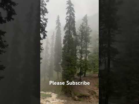 Livelihood of People of Pahalgam Before Attack #kashmirdiaries #pahalgam #kashmir #miniswitzerland