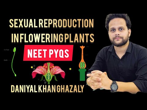 NEET PYQs Sexual Reproduction in Flowering Plants CBSE 2026 NCERT explained by Daniyal khan Ghazaly