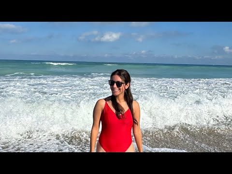 The most amazing snorkeling adventure & sea turtle rehab
