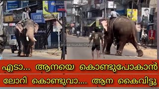 എടാ ആനയെ കയറ്റാൻ ലോറി കൊണ്ടു വാടാ..|  Elephant attack kerala 2025 | Peechi sivan elephant attack