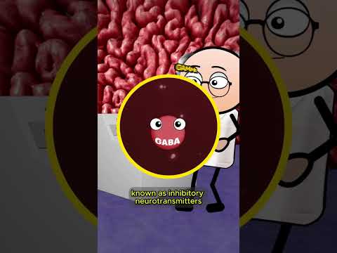 How Does Anesthesia Actually Work?!
