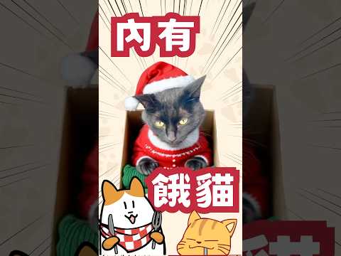 內有餓貓