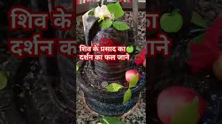 शिव के प्रसाद के दर्शन का फल 🙏 #pandit_pradeep_ji_mishra #upay #shiv #katha @sairadha #shorts #yt