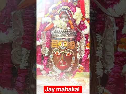 mahakal New WhatsApp status video for Instagram status fasbook status video #mahakal #shorts