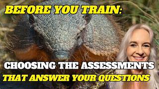 Before You Train: Choosing the Assessment That Answers Your Question