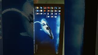 How to format windows partition