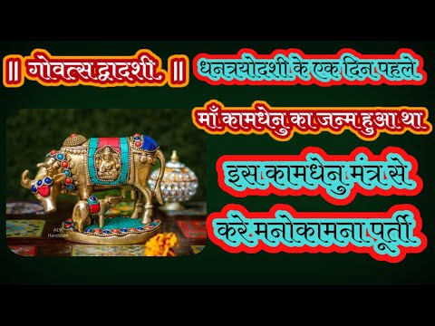 गोवत्स द्वादशी, माँ कामधेनु का जन्मदिन, इस कामधेनु गायत्री मंत्र: से करे मनोकामना पूर्ती #devotional