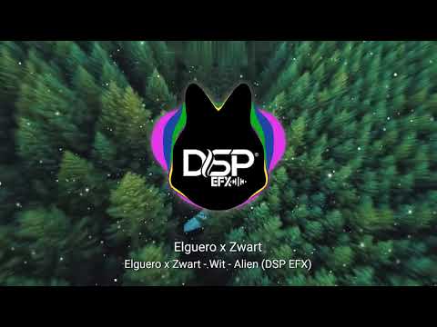 Elguero x Zwart - Wit - Alien (DSP EFX)