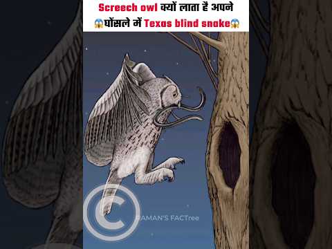 Screech owl क्यों लाता है अपने घोंसले में Texas blind snake #facts #viral #ed