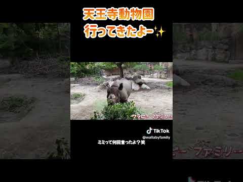 天王寺動物園　カバ